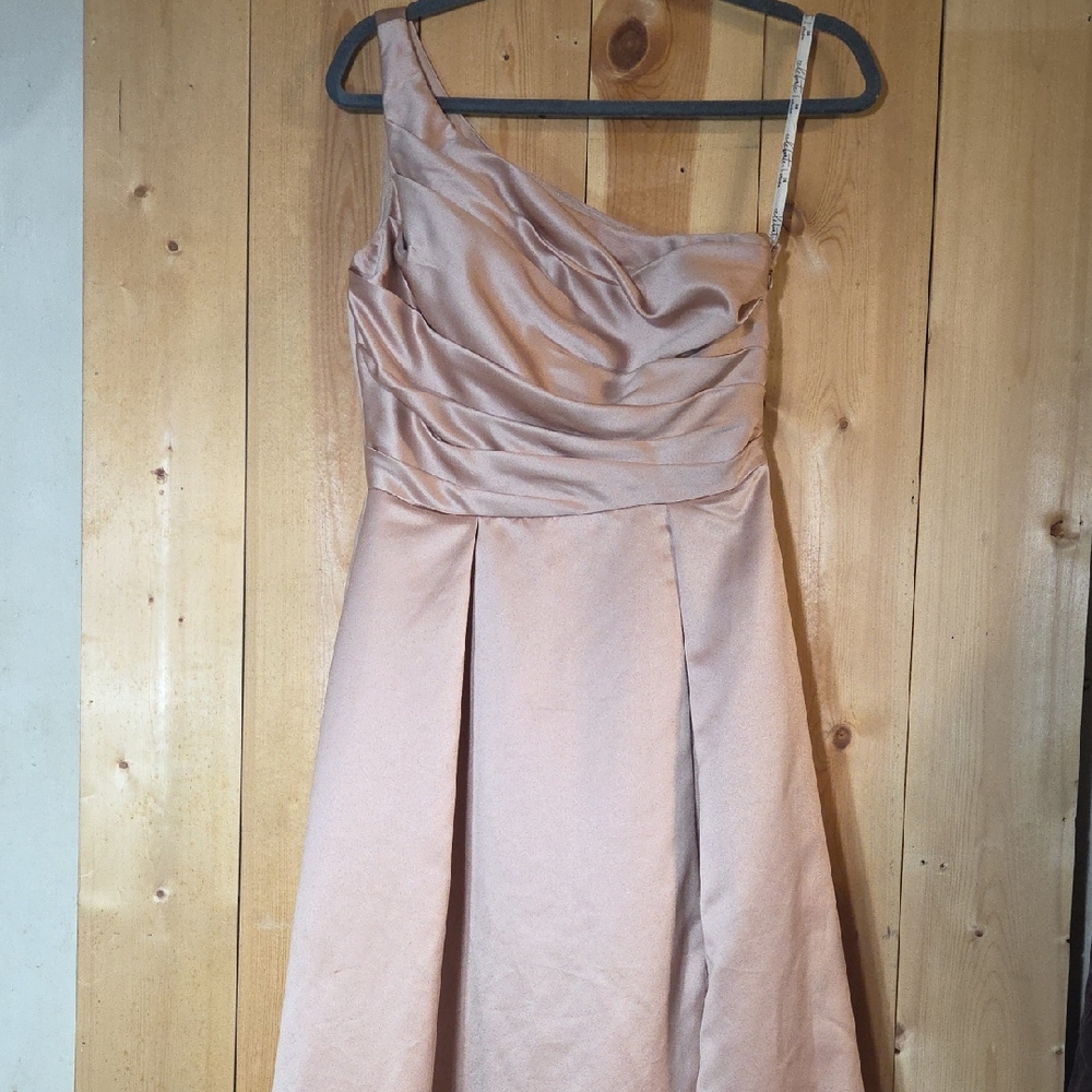 Elegant One-Shoulder Satin Dress in Blush